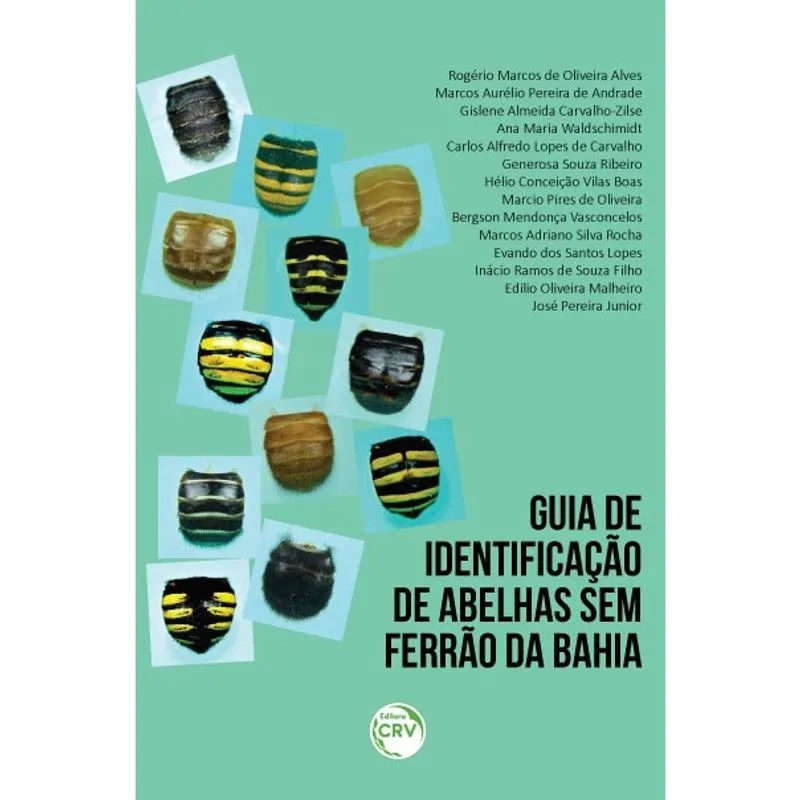 Livro - Guia de identificação de abelhas sem ferrão da Bahia
