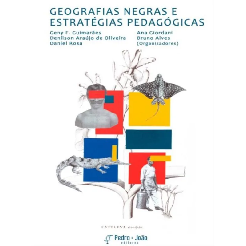 GEOGRAFIAS NEGRAS E ESTRATÉGIAS PEDAGÓGICAS