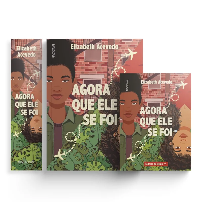 Livro - Agora que ele se foi com brinde