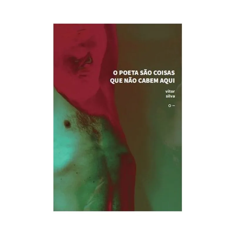 O POETA SÃO COISAS QUE NÃO CABEM AQUI