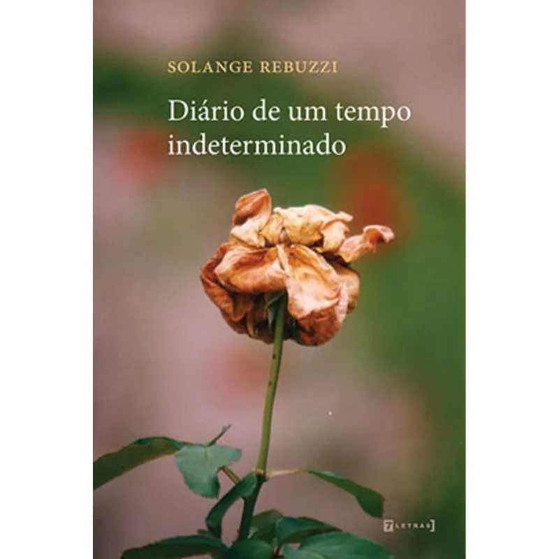 DIÁRIO DE UM TEMPO INDETERMINADO