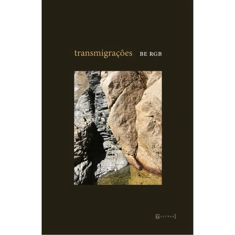 TRANSMIGRAÇÕES
