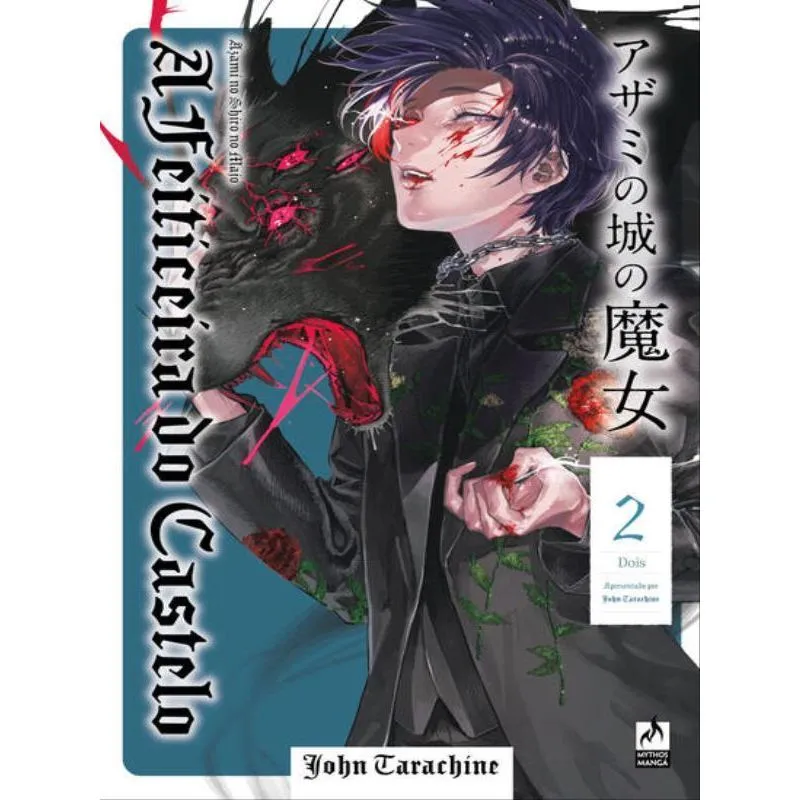 A FEITICEIRA DO CASTELO 2 (DE 4) - VOL. 2