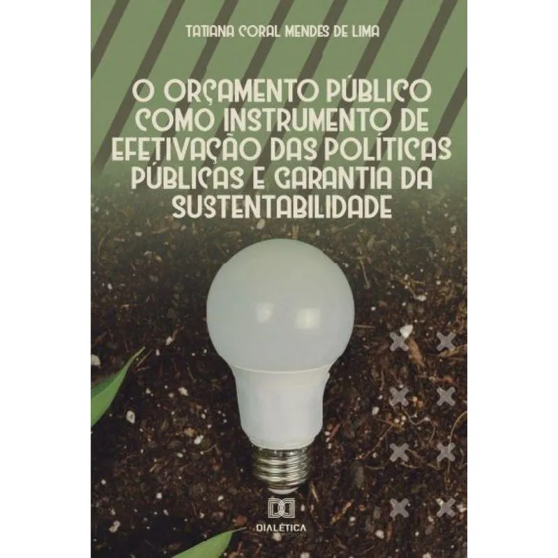 O orçamento público como instrumento de efetivação das polí