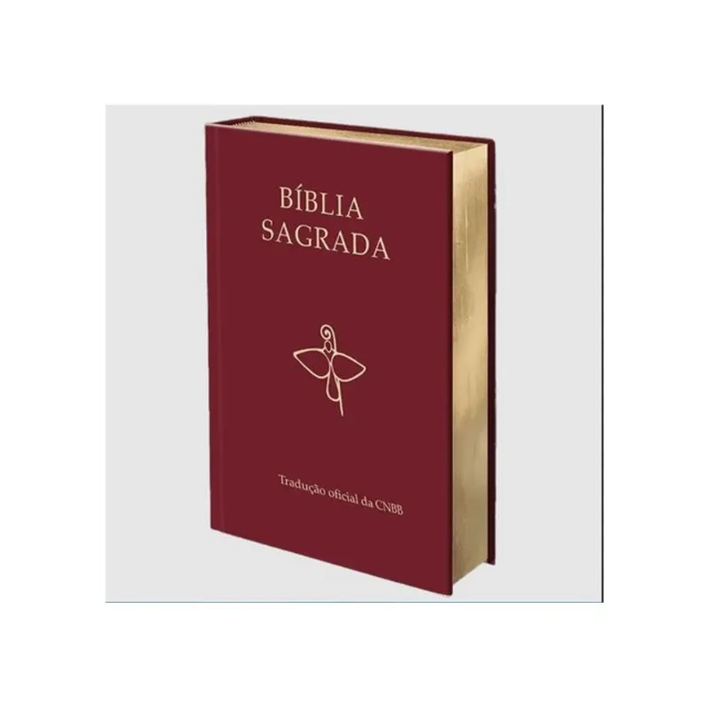 BÍBLIA SAGRADA - TRADUÇÃO OFICIAL DA CNBB - 6ª EDIÇÃO - SEMILUXO