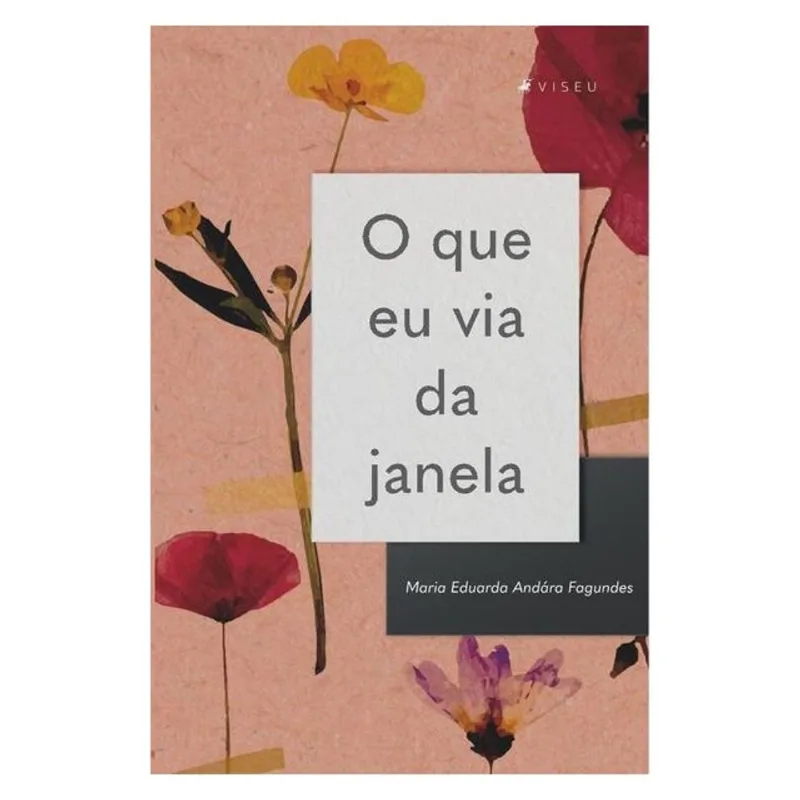 O QUE EU VIA DA JANELA