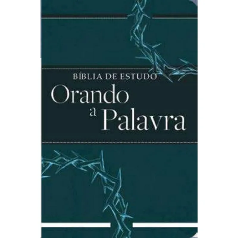 Bíblia De Estudo Temática - Orando A Palavra 1