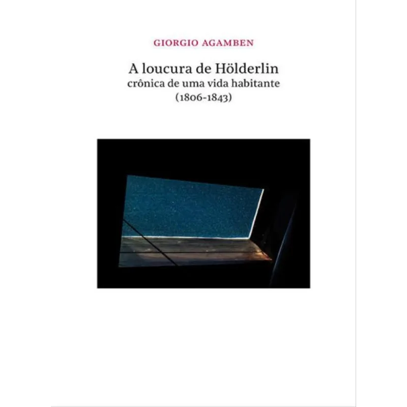 A LOUCURA DE HOLDERLIN