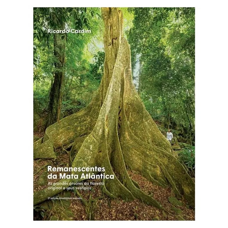 REMANESCENTES DA MATA ATLÂNTICA