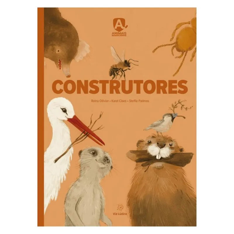 CONSTRUTORES