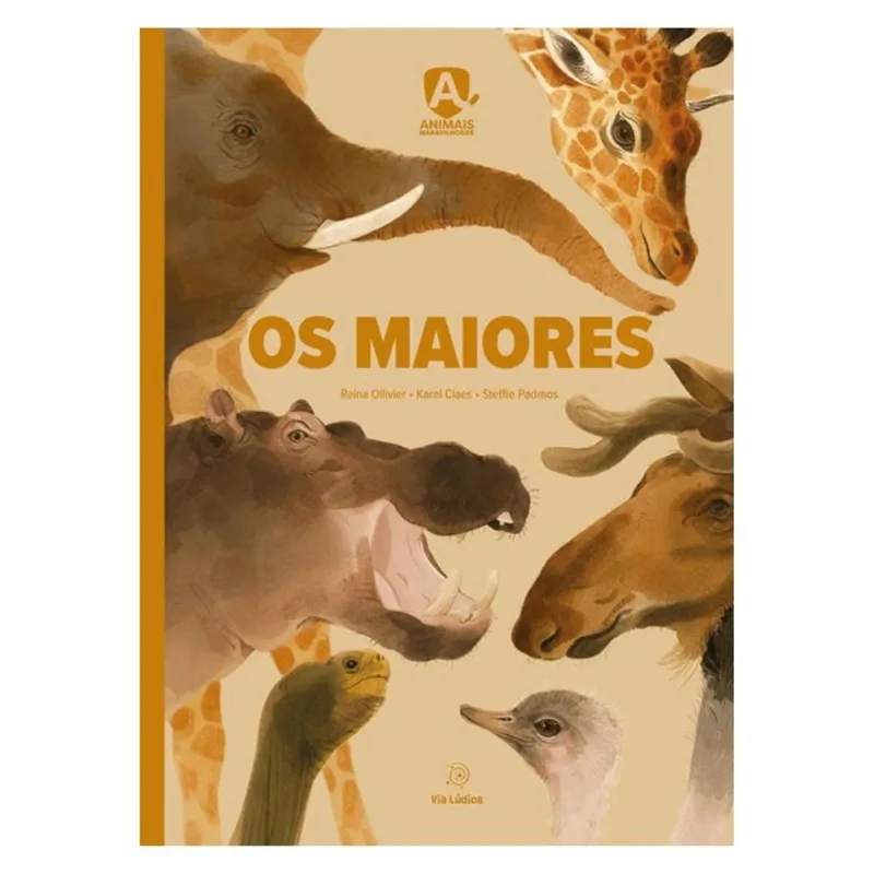 OS MAIORES