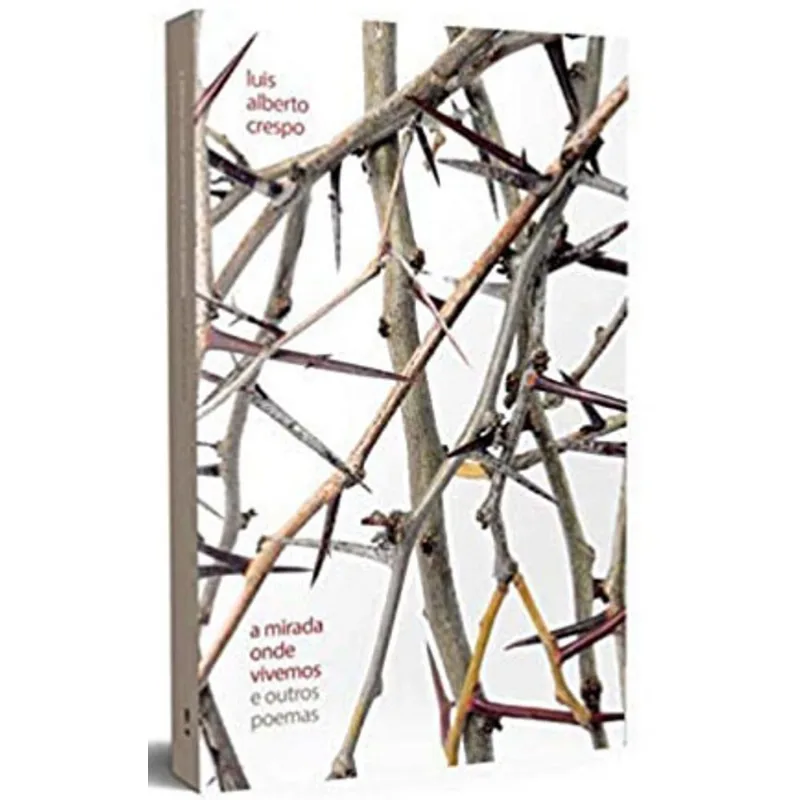A MIRADA ONDE VIVEMOS E OUTROS POEMAS