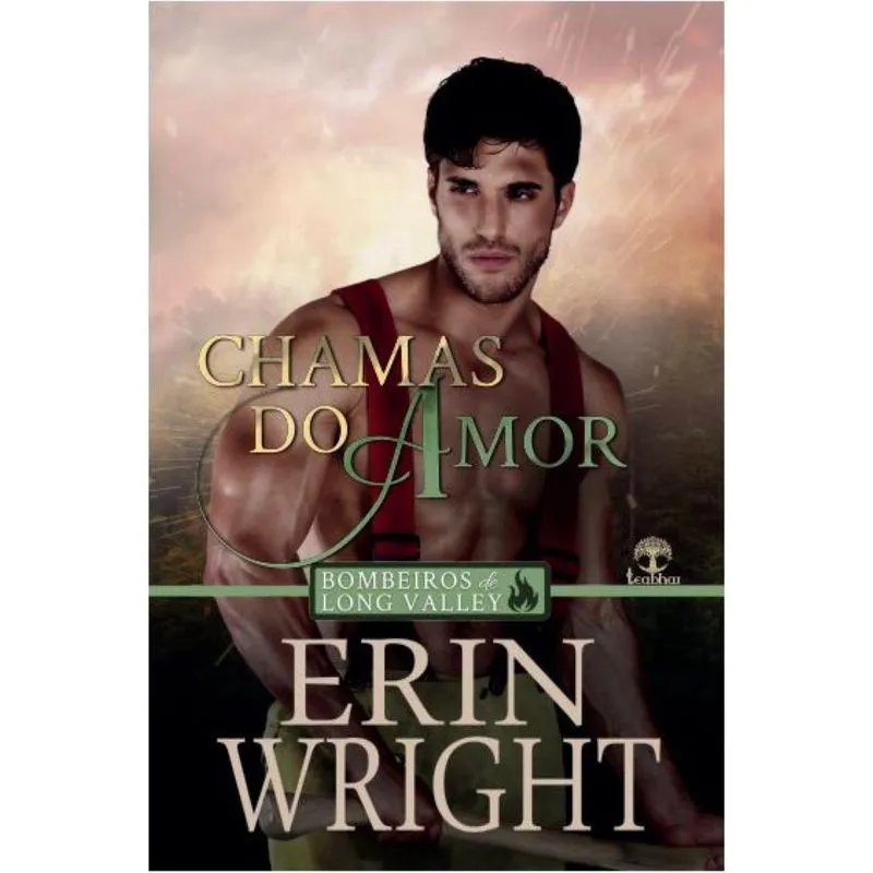 Chamas do amor (bombeiros de Long Valley Livro 01)