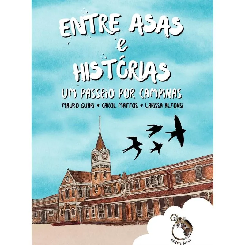 Entre Asas e Histórias Um Passeio por Campinas