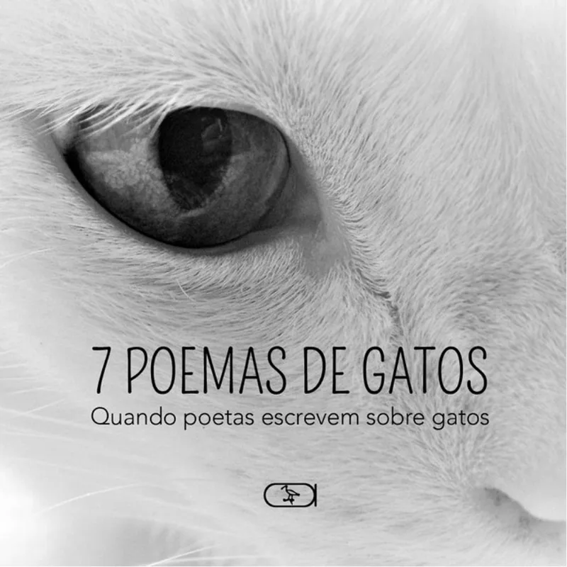 7 POEMAS DE GATOS