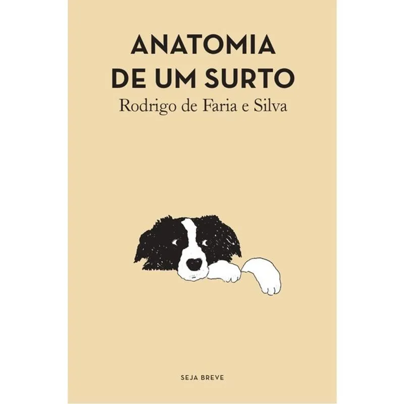 ANATOMIA DE UM SURTO