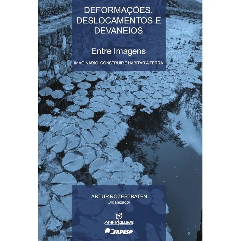 Deformações, Deslocamentos E Devaneios : Entre Imagens (volume I): Imaginário: Construir E Habitar A Terra