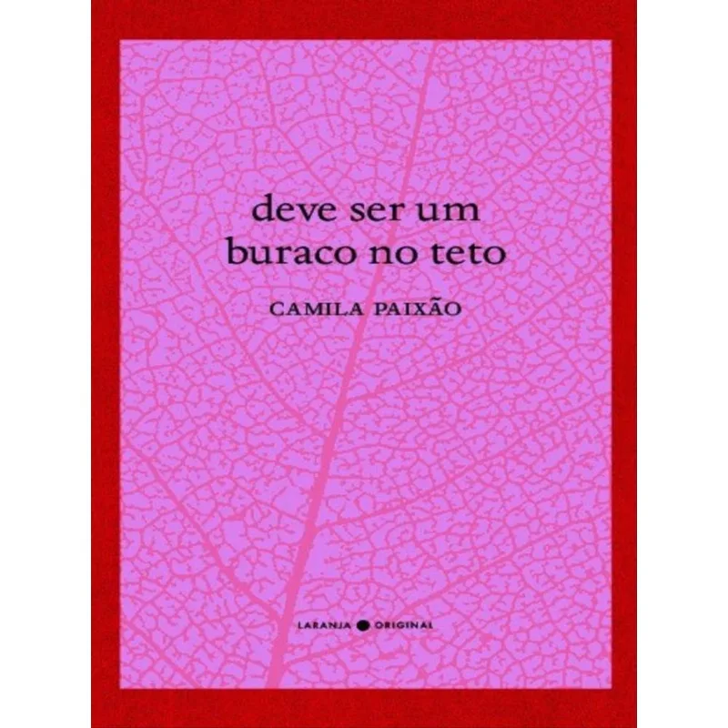 DEVE SER UM BURACO NO TETO