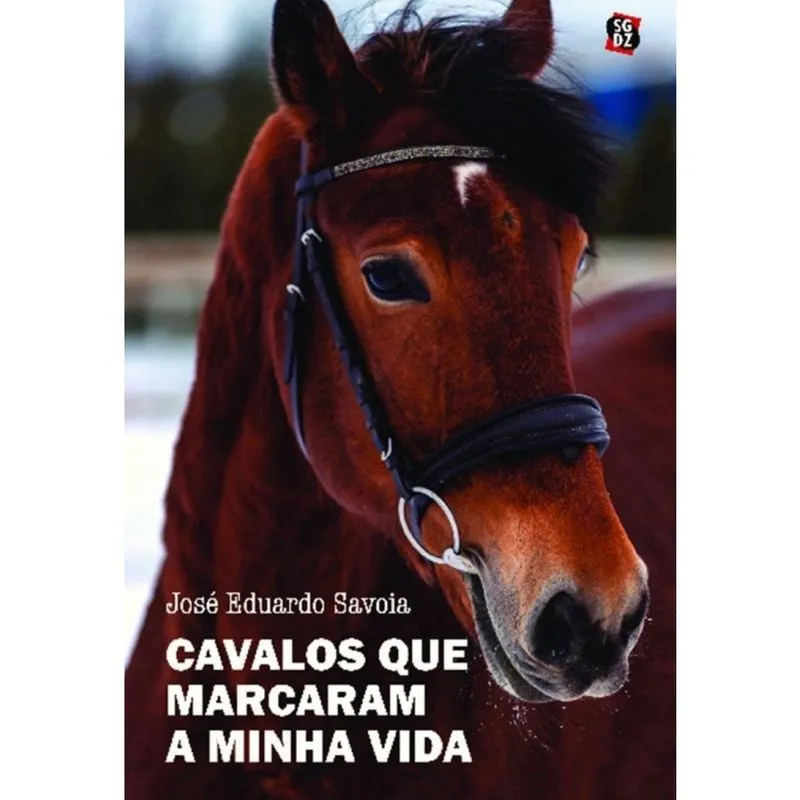 Cavalos que marcaram a minha vida