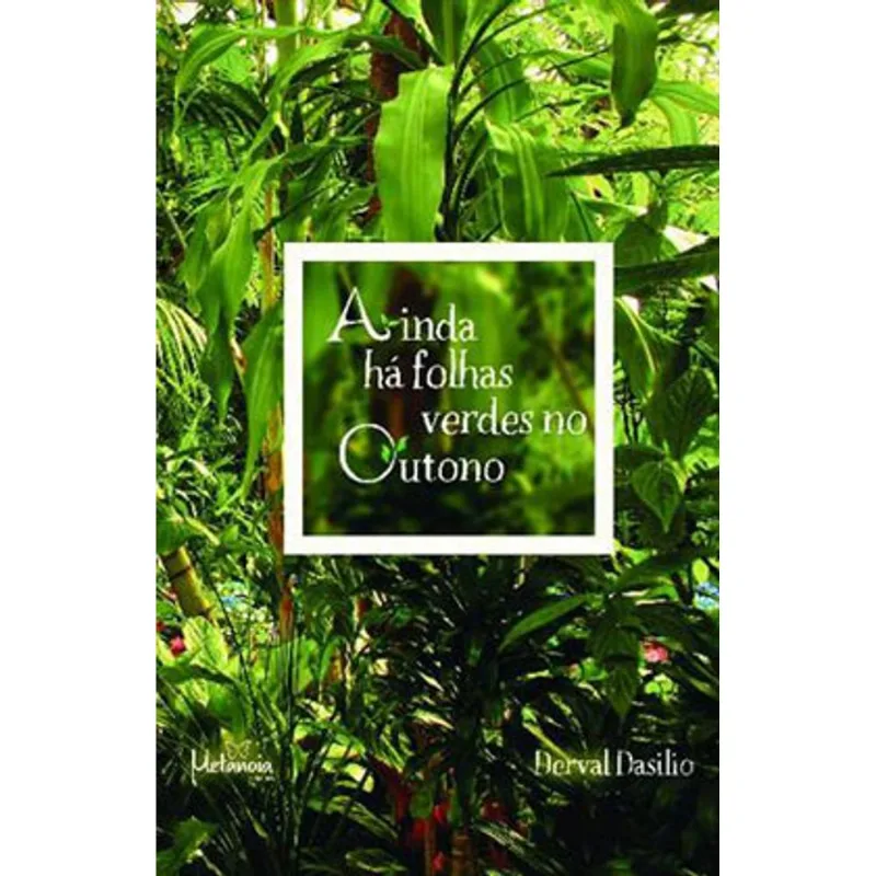 AINDA HÁ FOLHAS VERDES NO OUTONO