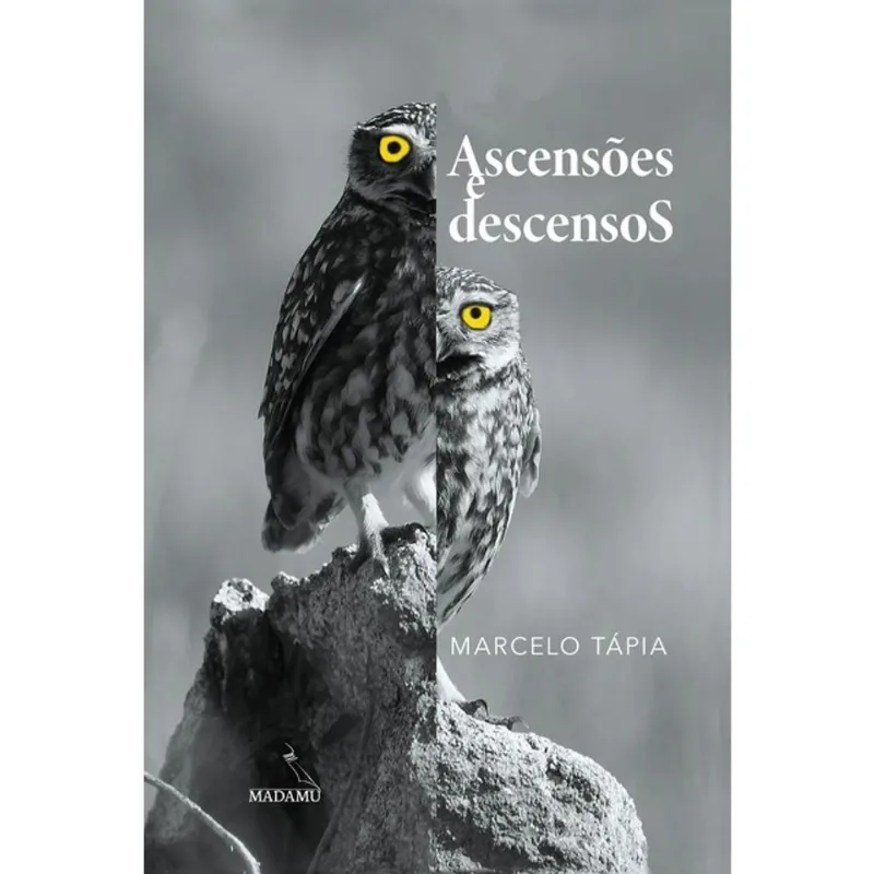 ASCENSÕES E DESCENSOS