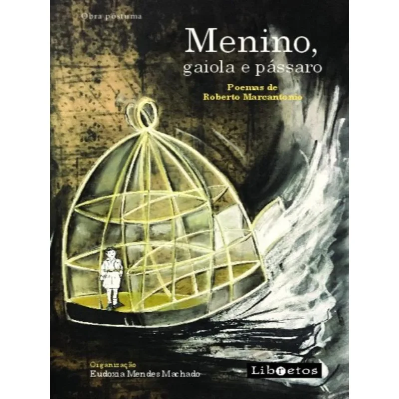 MENINO, GAIOLA E PÁSSARO