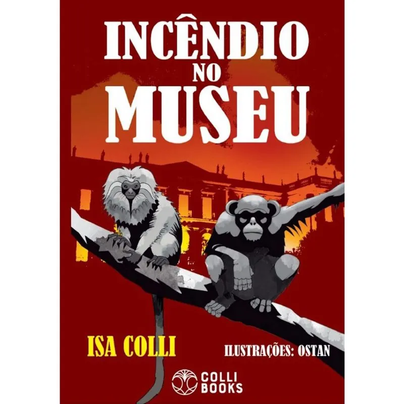 Livro - Incêndio no Museu