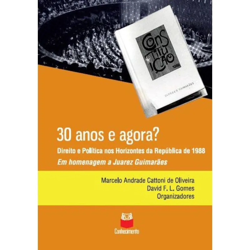 30 anos, e agora?: Direito e Política nos Horizontes da Rep