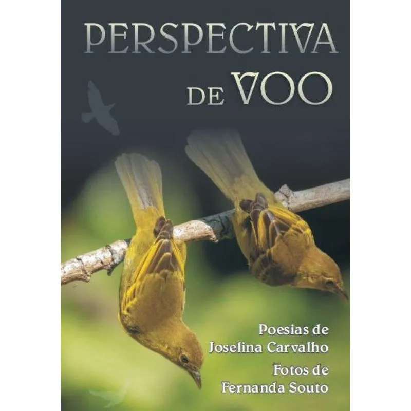 Perspectiva de voo