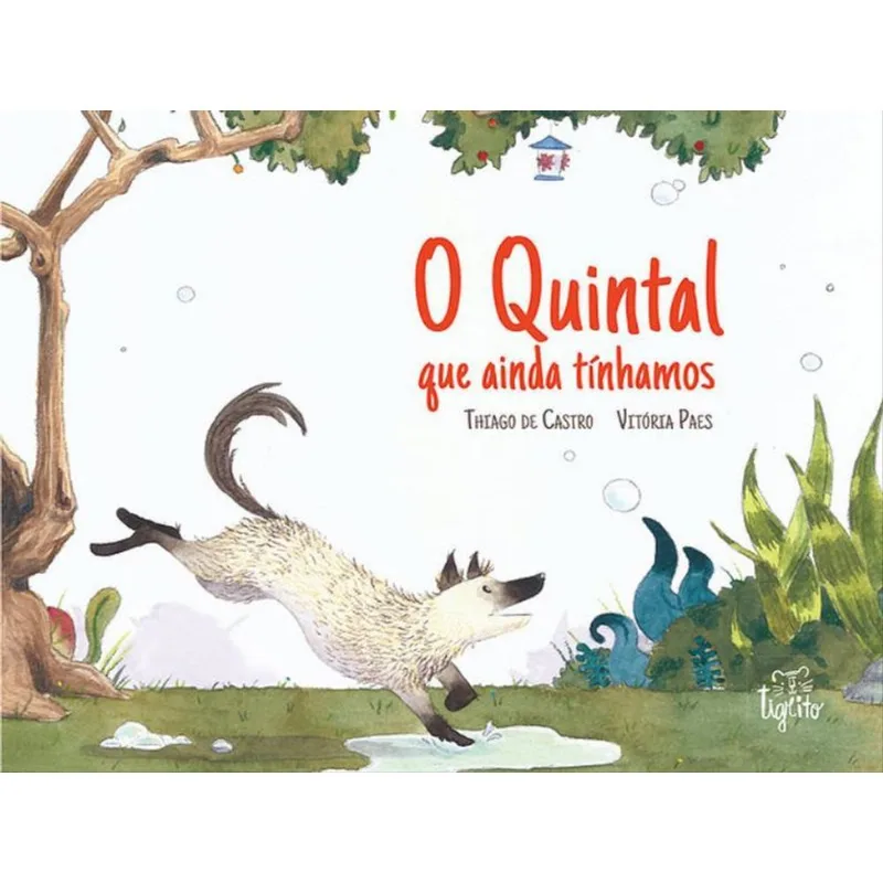 O QUINTAL QUE AINDA TÍNHAMOS
