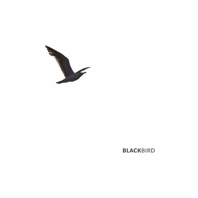 BLACKBIRD