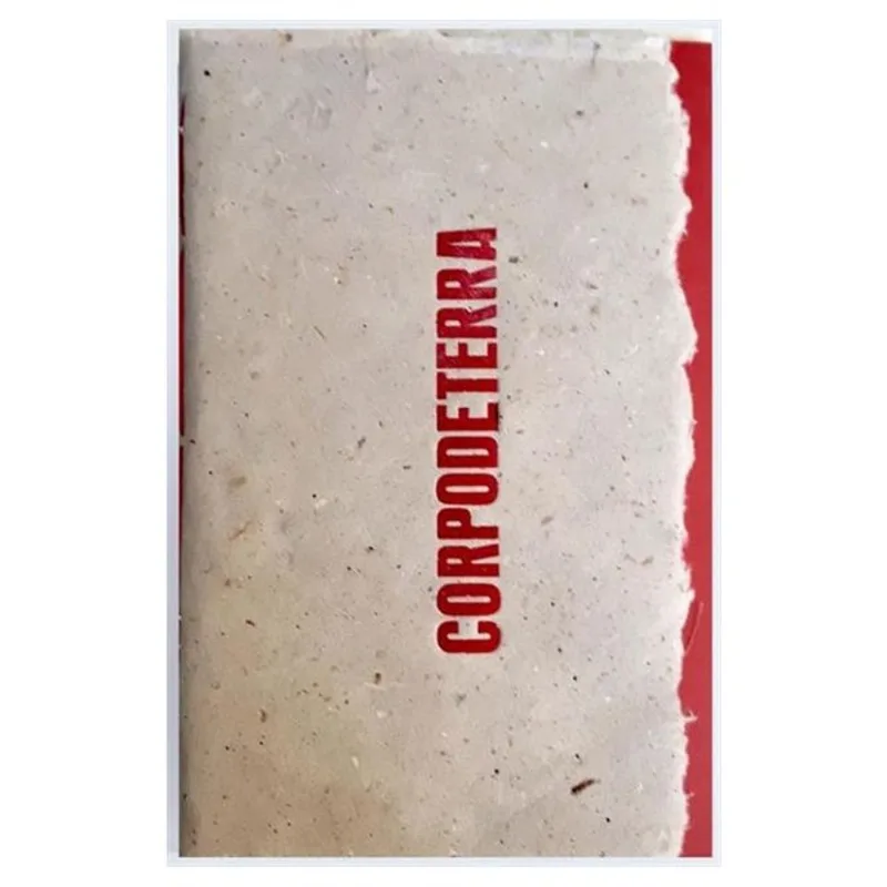 CORPO DE TERRA