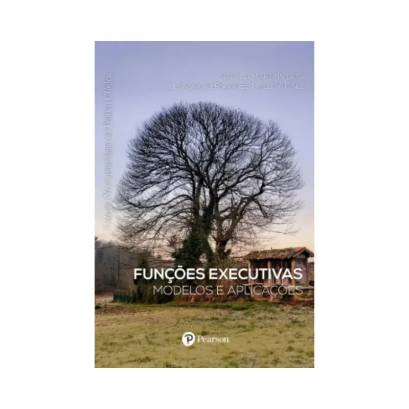 Funções Executivas - Modelos e Aplicações
