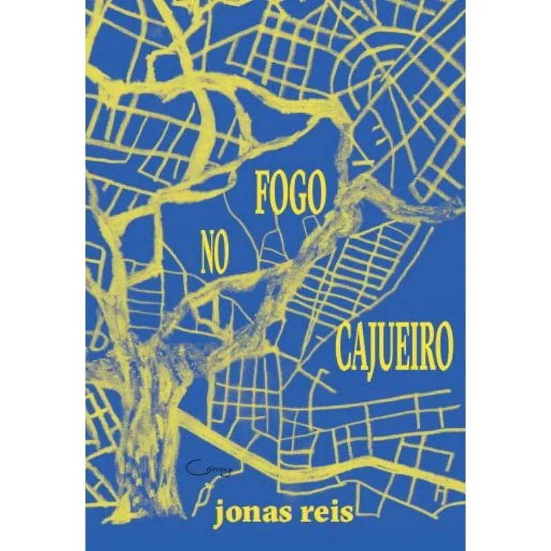 Fogo no cajueiro