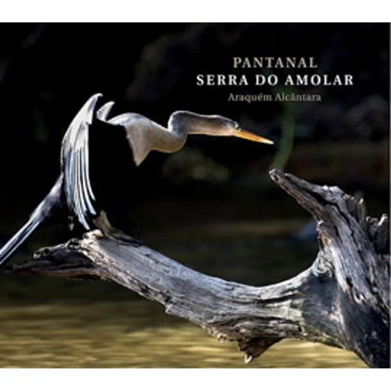 PANTANAL - SERRA DO AMOLAR