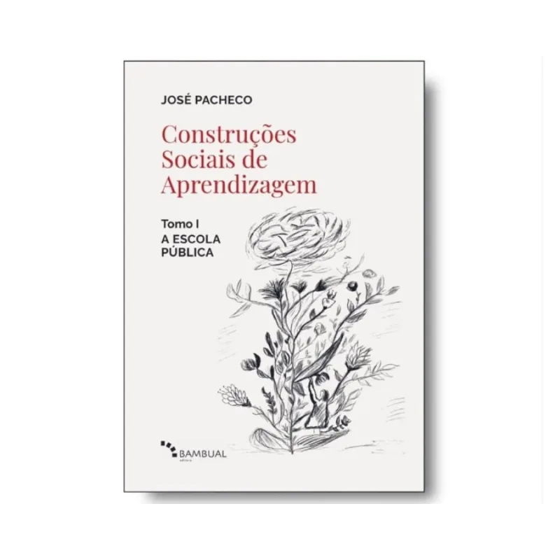 Construções Sociais de Aprendizagem