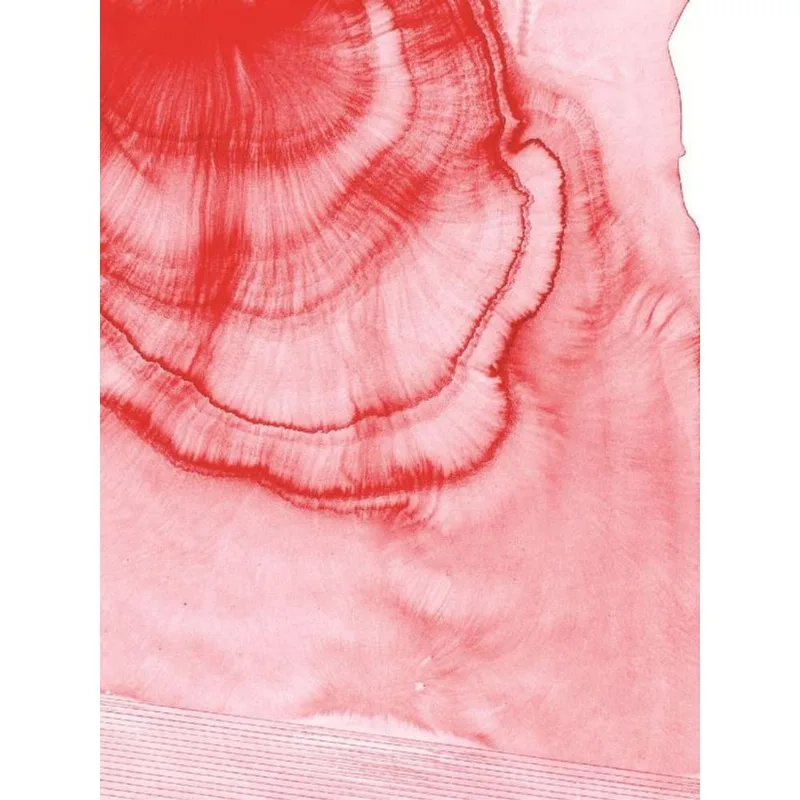 NEMER - AQUARELAS RECENTES