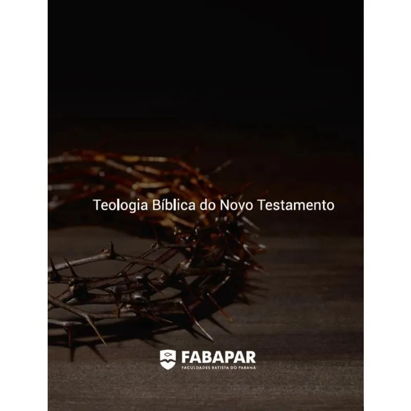 Teologia Bíblica do Novo Testamento Fabapar