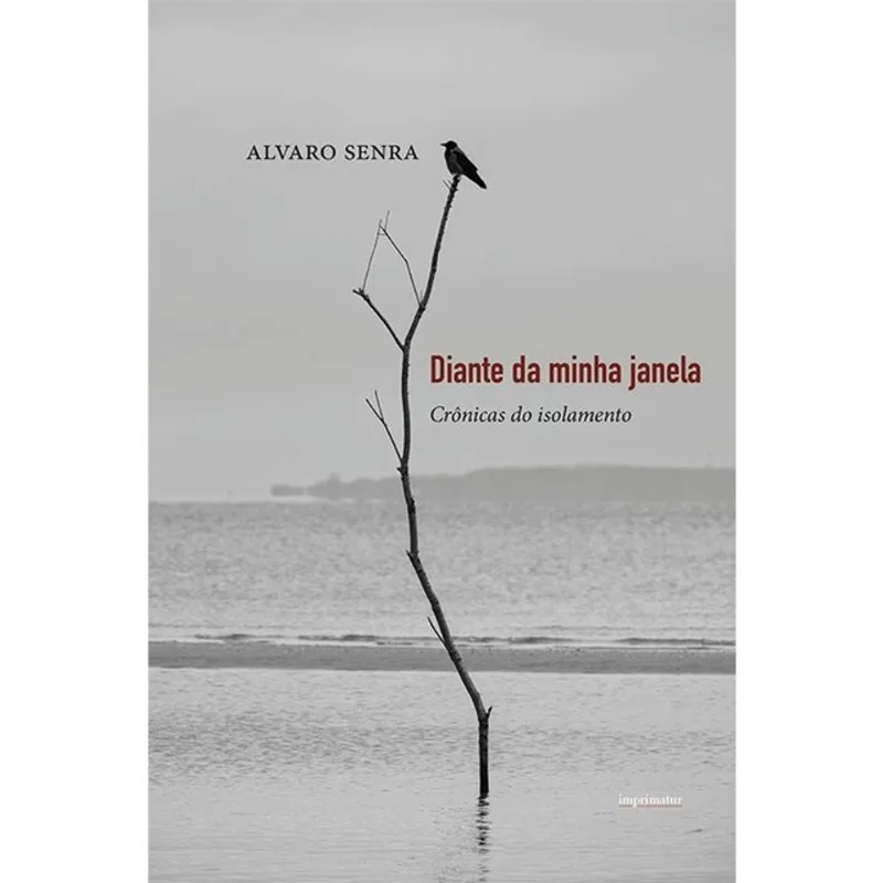 DIANTE DA MINHA JANELA