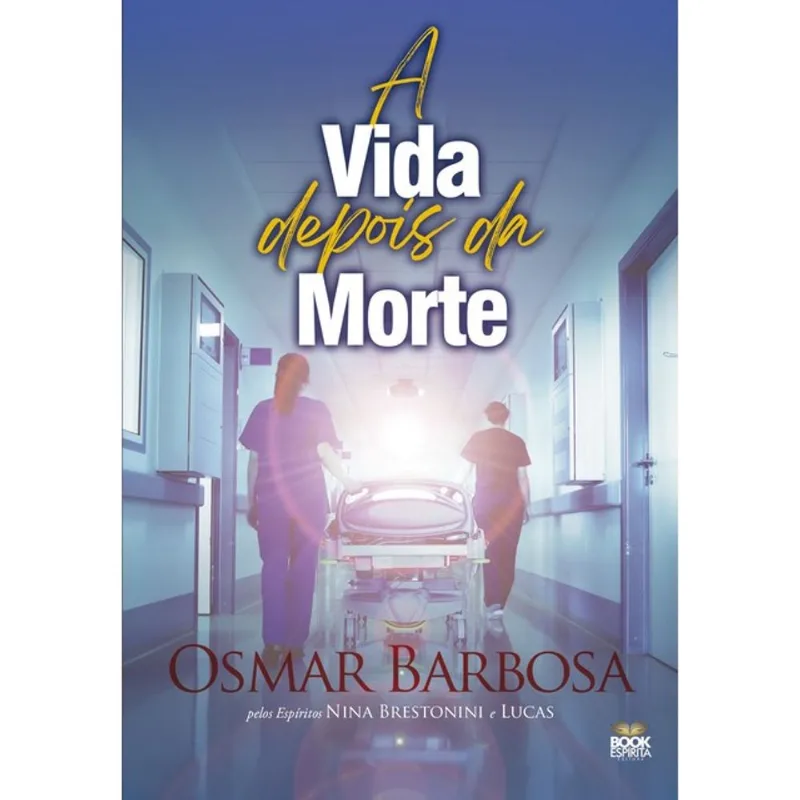 A VIDA DEPOIS DA MORTE - VOL. 1