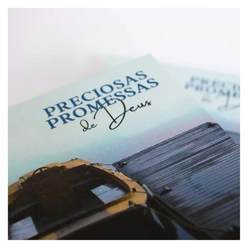PRECIOSAS PROMESSAS DE DEUS - COM 220 VERSÍCULOS E LETRAS GRANDES - BARCO - VOL. 8