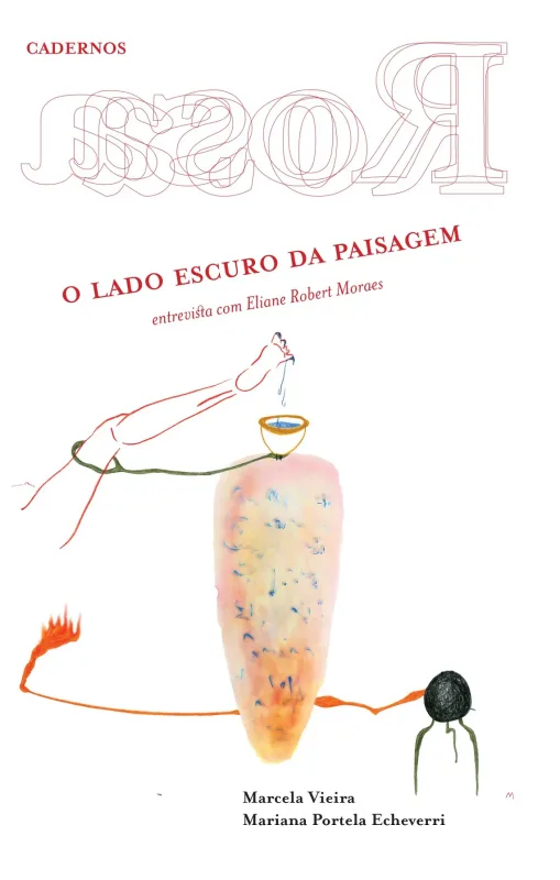 Cadernos Rosa O lado escuro da paisagem