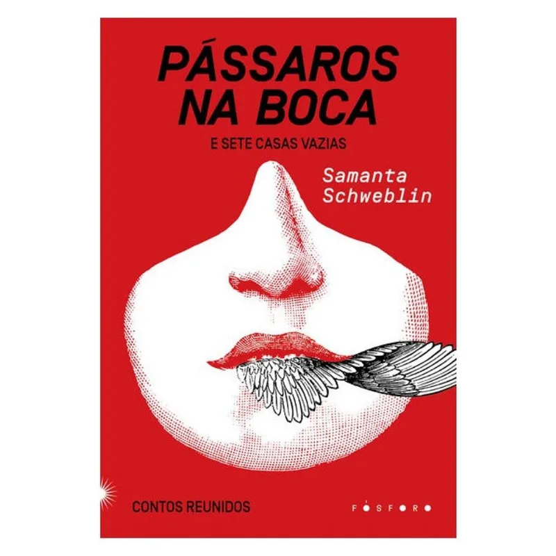 PÁSSAROS NA BOCA E SETE CASAS VAZIAS