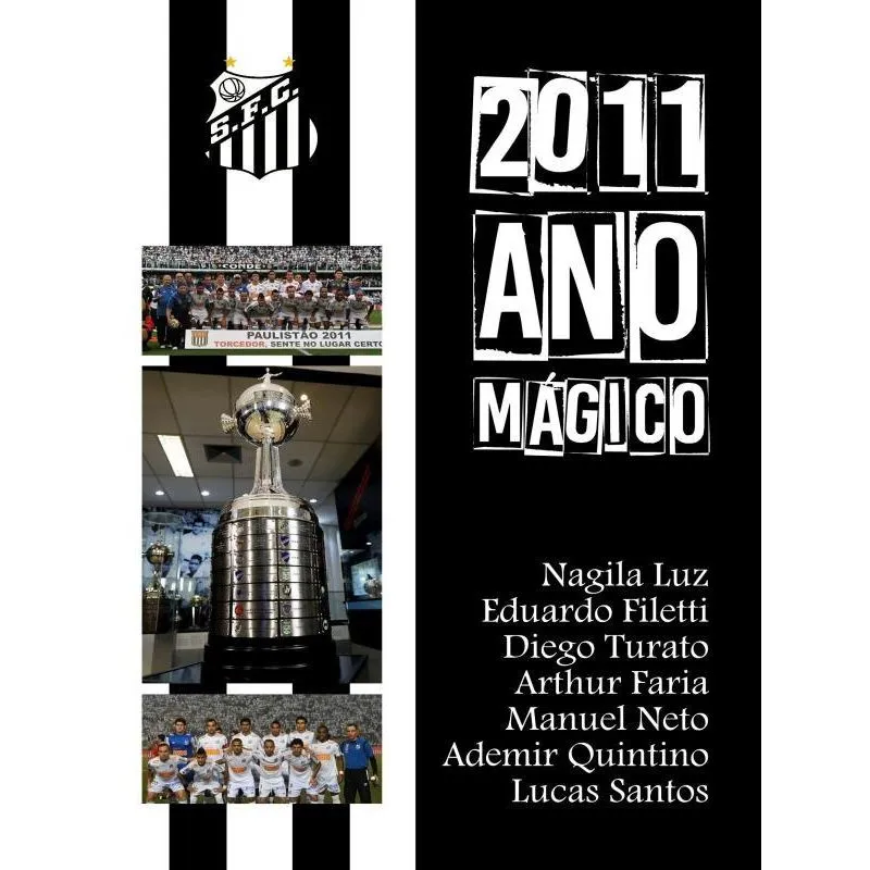 2011 ANO MÁGICO