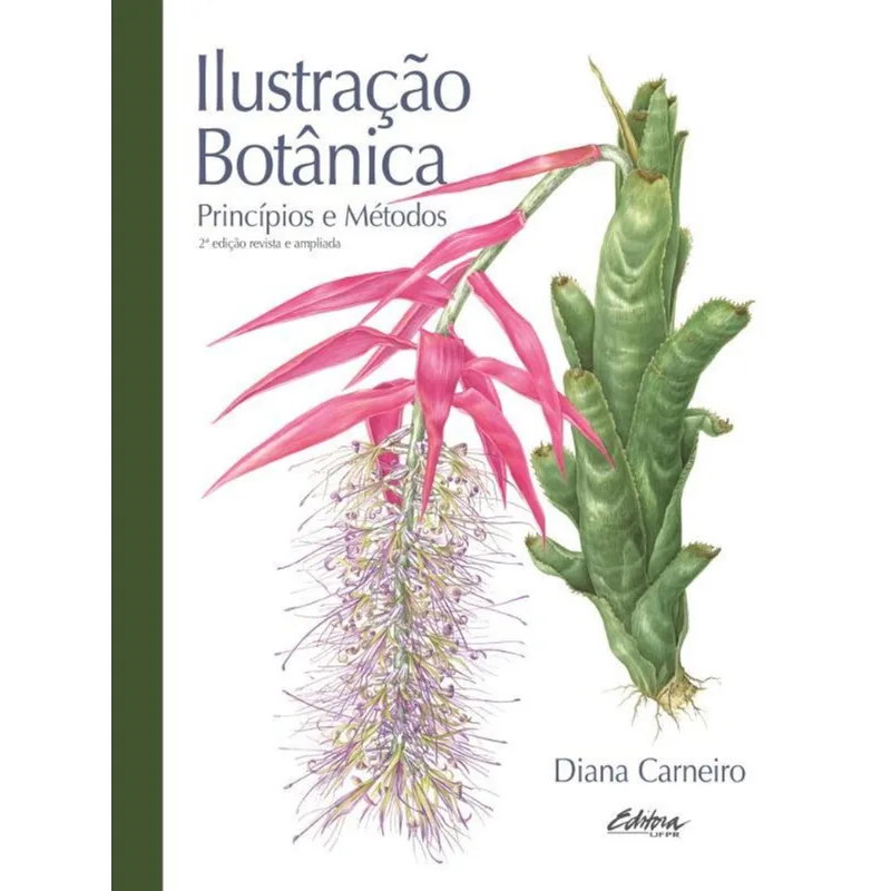 ILUSTRAÇÃO BOTÂNICA