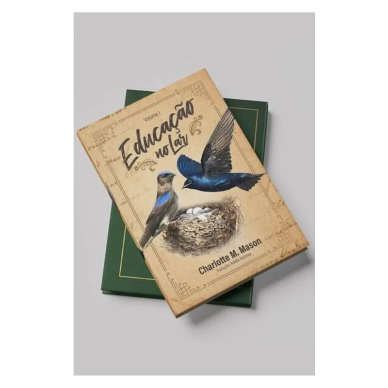 EDUCAÇÃO NO LAR - VOL 1. (SÉRIE EDUCAÇÃO NO LAR)