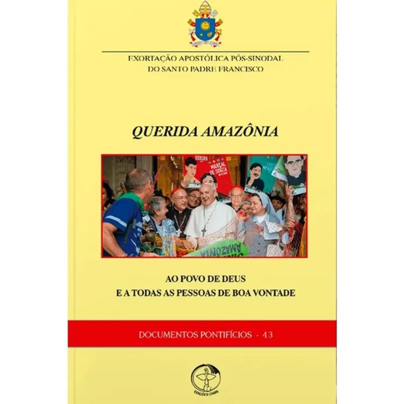 DOCUMENTOS PONTIFICIOS 43