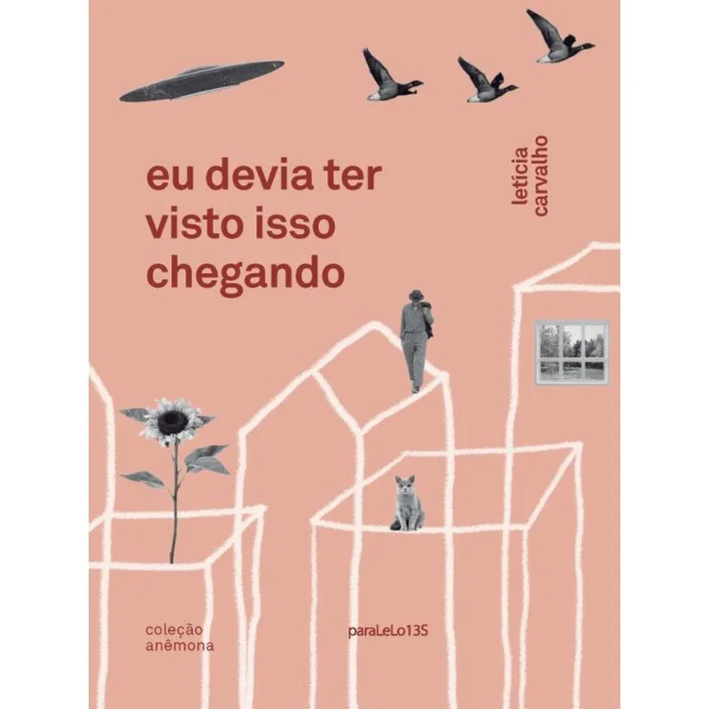 EU DEVIA TER VISTO ISSO CHEGANDO