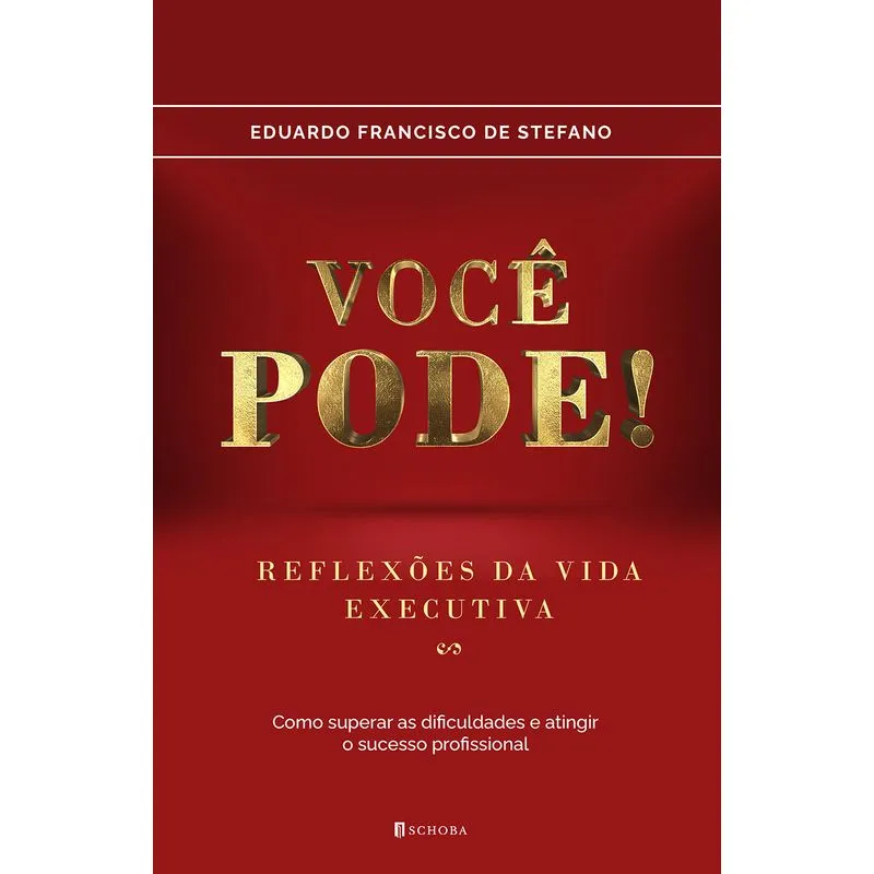 Você Pode! Reflexões Da Vida Executiva