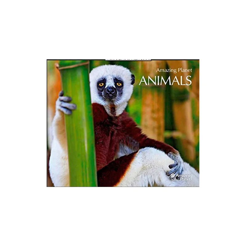 POSTER: AMAZING PLANET: ANIMALS